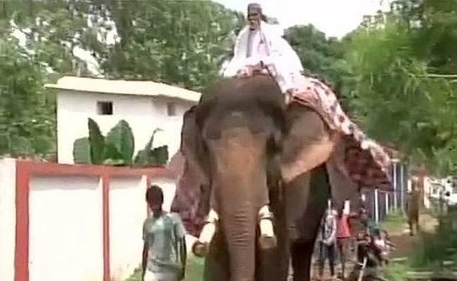 क्या हुआ जब, हाथी पर सवार पटना की सड़कों पर निकले जदयू MLA