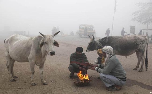 Bihar Weather News: 'निवार चक्रवात' ने बिहार में बढ़ायी ठंड, 24 घंटे बाद समय से पूर्व शीतलहर की चपेट में आएगा प्रदेश