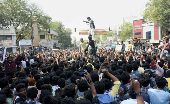 जल्लीकट्टू प्रदर्शन मामले में मद्रास हाइकोर्ट का हस्तक्षेप से इनकार