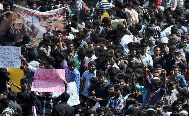 जलीकट्टू को लेकर प्रदर्शन तेज, कल प्रधानमंत्री मोदी से मिलेंगे तमिलनाडु के मुख्यमंत्री पन्नीरसेलवम