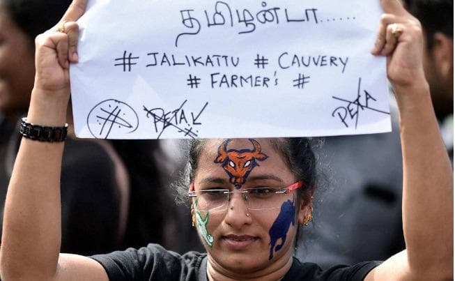 जल्लीकट्टू : मदुरई में पन्नीरसेल्वम का तीखा विरोध, लगे रिटर्न बैक के नारे