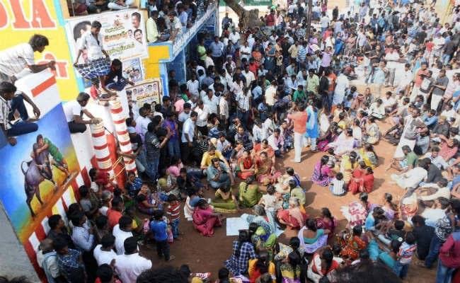 जल्लीकट्टू : तमिलनाडु में खेल के दौरान दो और प्रदर्शन के दौरान एक की मौत