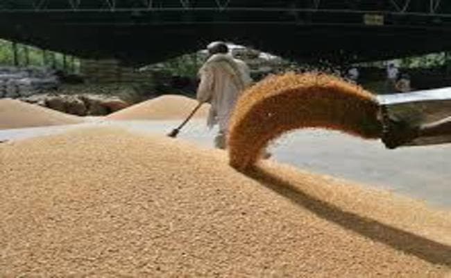 बिहार में गेहूं खरीद के टूट गये सारे रिकॉर्ड, साढ़े चार लाख टन पर खरीद हुई बंद