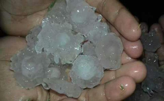 बिहार : दरभंगा में हुई जमकर ओला वृष्टि, फसलों को नुकसान