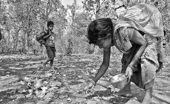 महुआ और चिरौंजी का अर्थतंत्र
