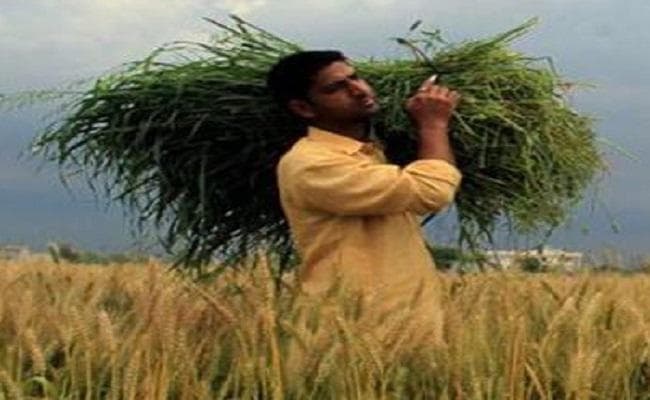 महाराष्ट्र से पंजाब तक उठ रही किसानों के कर्ज माफ करने की मांग, विधानसभा में शिवसेना ने उठाया मुद्दा