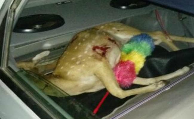 हिरण को मार कर ले जा रहे दो लोगों को पुलिस ने पकड़ा