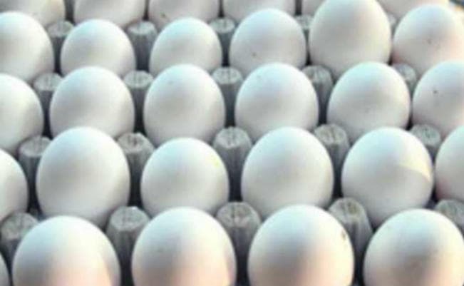 धनबाद में प्लास्टिक का अंडा! औंधे मुंह गिरा बाजार, जांच को सैंपल भेजा, स्कूलों में भी रोक