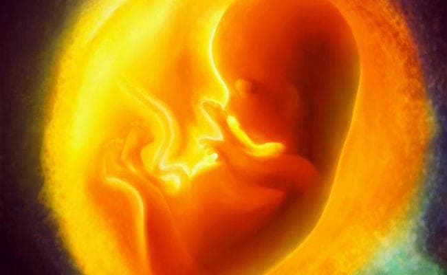 देवघर: बोरे में मिले 14 नवजात के शव, भ्रूण हत्या की आशंका