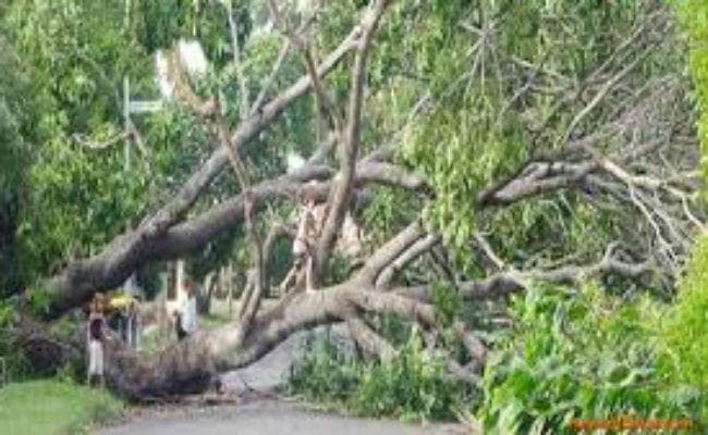 दुमका : आंधी ने मचायी तबाही