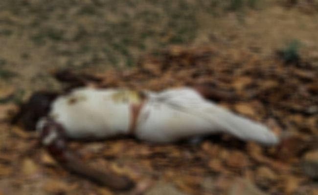 हजारीबाग : कोनार नदी के समीप अज्ञात शव बरामद