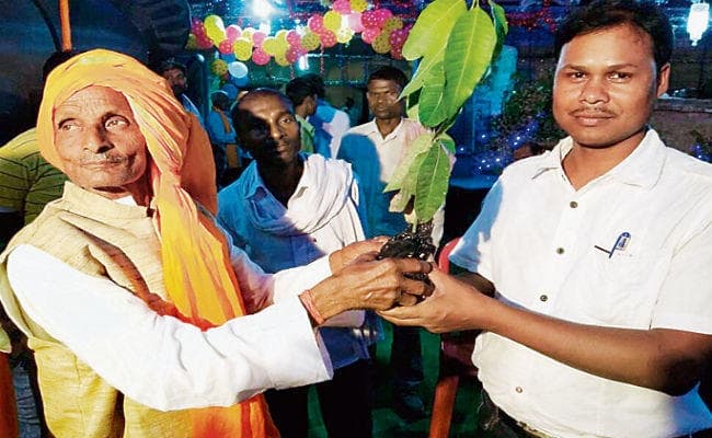 एक विवाह ऐसा भी, कन्या के साथ दान किये 551 पौधे