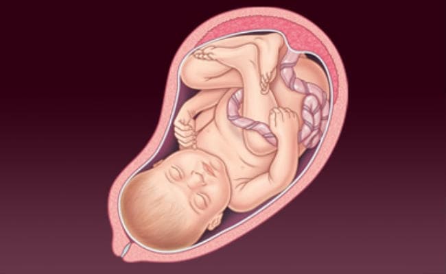 आपके घर जन्म लेंगे विवेकानंद, गांधी, आइंस्टीन, लक्ष्मीबाई और कल्पना चावला जैसे बच्चे, आरएसएस की अनुषंगी इकाई का दावा