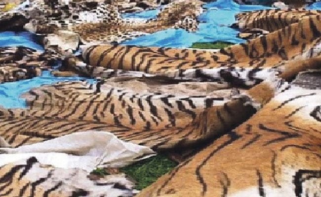 वन्य जीवों की तस्करी का अड्डा बना सिलीगुड़ी