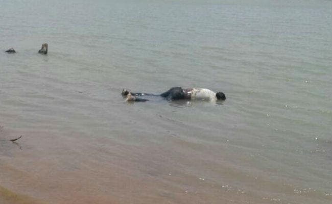 दोस्त को बचाने डैम में कूदा था सीप्रियन, एक सप्ताह बाद मिला शव