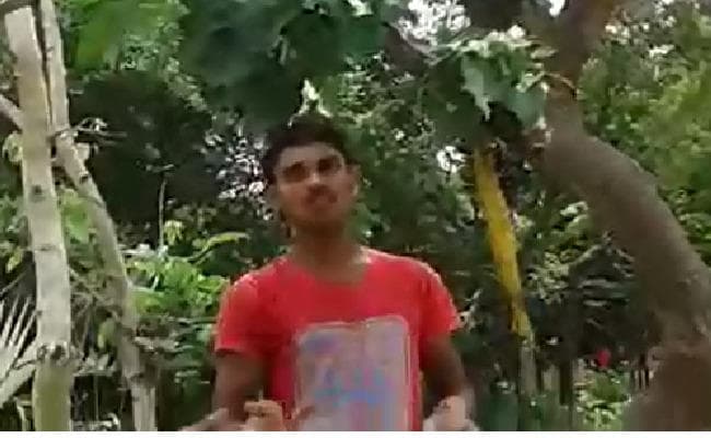 सहरसा में अनोखा पेड़ बना चर्चा का विषय, दिन-रात पेड़ से गिरता है बारिश-सा पानी, देखें VIDEO