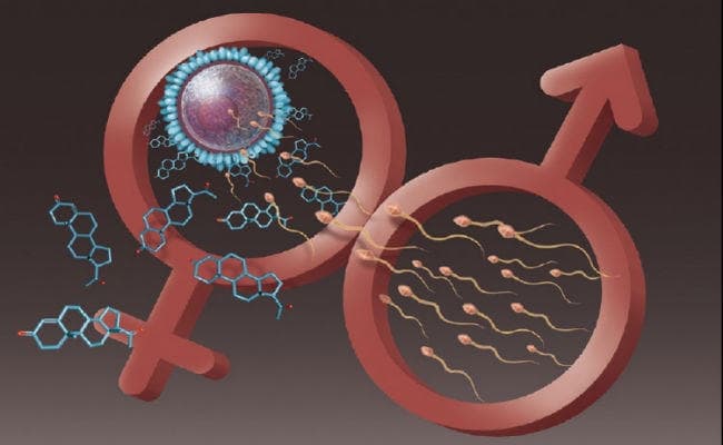 चीन की पारंपरिक औषधियों के रसायन ‘मॉलिक्यूलर कंडोम'' बनाने में कारगर