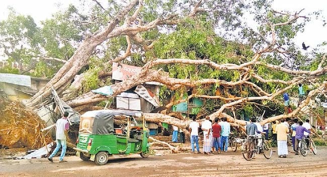 आपदा: सोमवार की रात आयी तेज आंधी में जिले भर में हुआ नुकसान, दर्जनों पेड़ उखड़े, बिजली व्यवस्था चरमरायी
