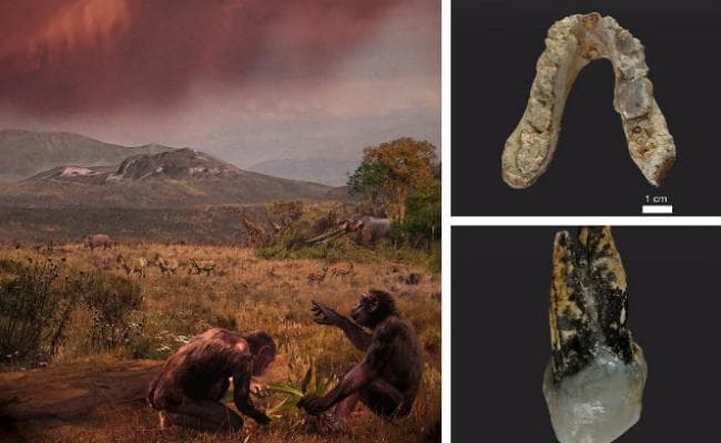 बदल गया मानव की उत्पत्ति का इतिहास, अफ्रीका नहीं, यूरोप है मानव का जन्मस्थान