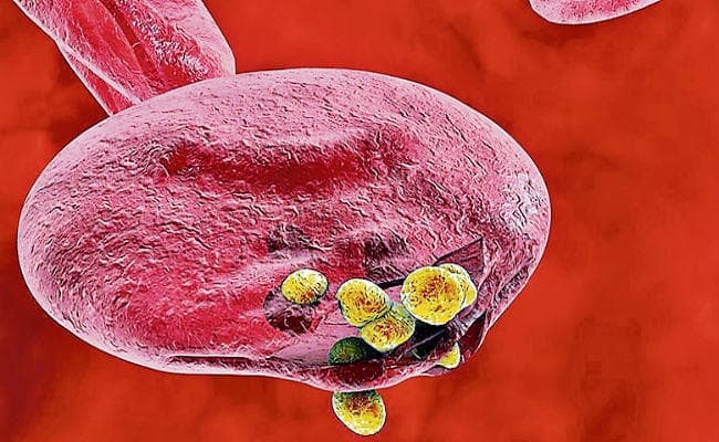 मलेरिया का जोखिम कम करने में मिली कामयाबी