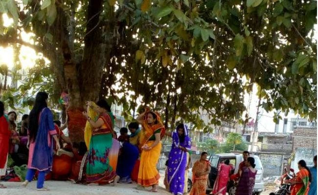 वट वृक्ष से कुछ इस तरह लिपटकर महिलाओं ने जोड़ा पति की लंबी उम्र का कनेक्शन