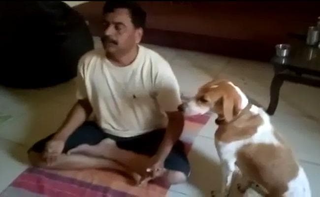 यह कुत्ता ‘ऊं’ का उच्चारण करता है, सोशल मीडिया पर वायरल हो रहा है वी़डियो, आप भी देखें