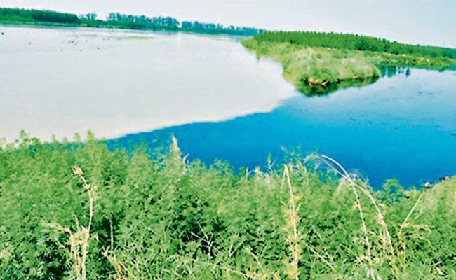 सकारात्मकता से पुष्ट हो राष्ट्रीयता