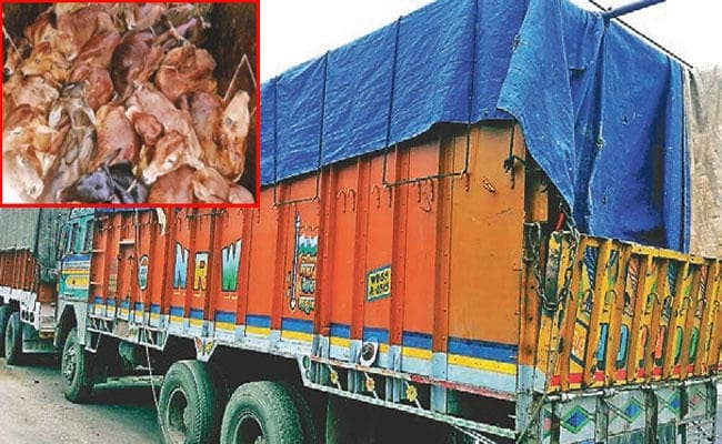 कड़े कानून के बाद भी नहीं रुक रही पशुओं की तस्करी
