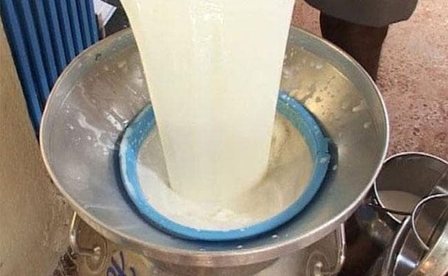 सरकार ने मदद नहीं की, तो बर्बाद हो जाएंगे झारखंड के दुग्ध किसान