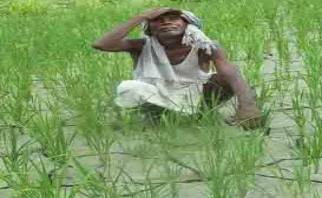 कीटनाशक, खाद, बीज व स्प्रे मशीन के दाम बढ़े