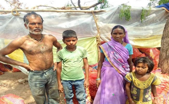 शेखपुरा : प्याज के गिरते भाव से कर्ज में डूबा किसान, रोकनी पड़ी बिटिया की शादी, VIDEO