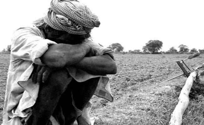 कर्ज, तंगी और तनाव में पिठोरिया के किसान, दे रहे जान