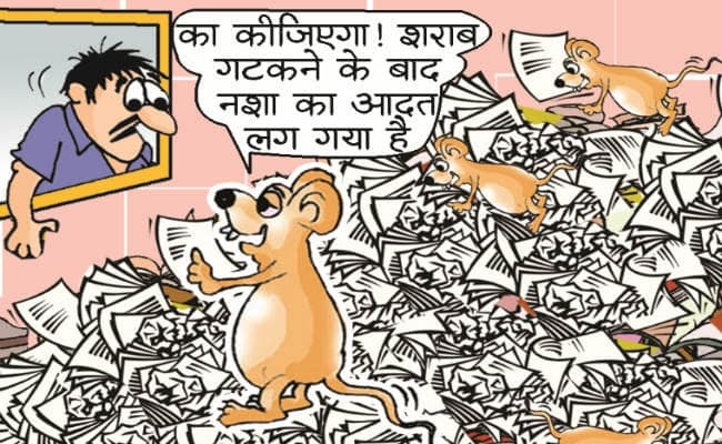 बिहार के चूहे बरबादी में सबसे आगे, शराब गटकने के बाद कुतरी लाखों की रसीद!