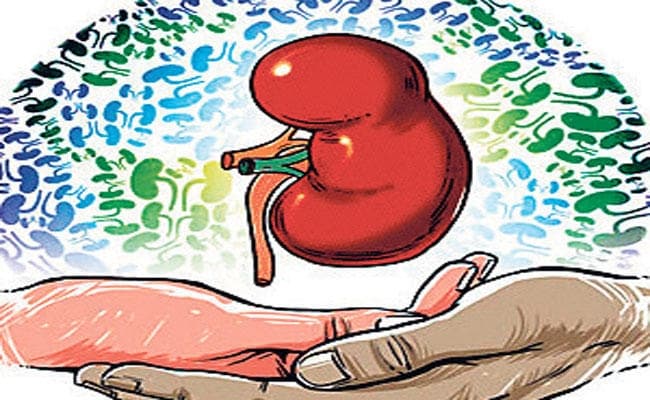 रेयर सर्जरी: दो शिशुओं का हुआ लिवर ट्रांसप्लांट