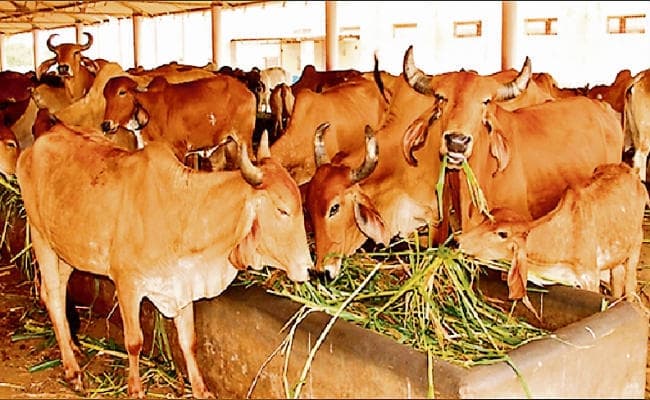 छोटे पड़ावों में न उलझें