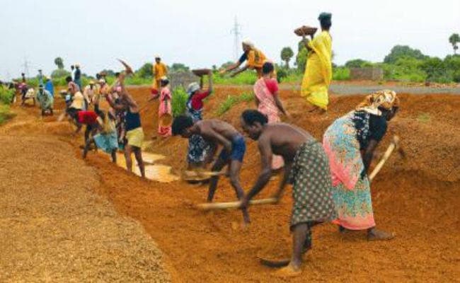 झारखंड के मनरेगा श्रमिकों को पसंद है बेरोजगारी, क्योंकि गुजारे के लायक भी नहीं मिलता पैसा