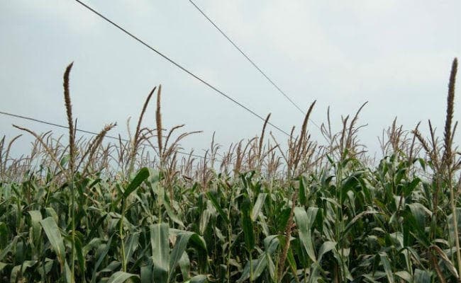 ग्रामीणों ने जेइ को पीटा, लटकते तार को दुरुस्त कराने की कर रहे थे मांग