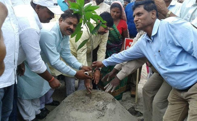 राजमहल : 68 वें वन महोत्सव का आयोजन, एक दिन में लगा एक लाख पेड़