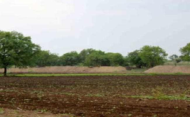 बेहतर पैदावार की आस में किसानों के छुट रहे पसीने : संतोष दूबे