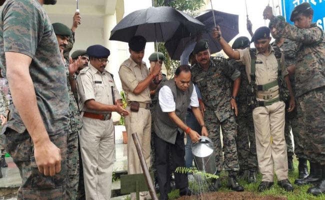 झारखंड : भारी बारिश में छाता लेकर पौधे को पानी से सींचते नजर आये मंत्री सीपी सिंह