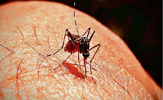 स्मार्ट ट्रैप से काबू में होंगे मच्छर