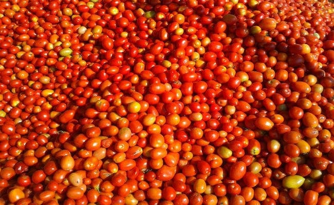 टमाटर के दाम से हैं परेशान तो टेंशन नहीं लें, ‘स्टेट बैंक ऑफ टमाटर’ है ना