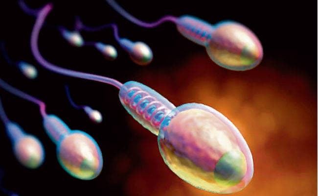 पुरुषों में कम हो रहे हैं शुक्राणु...जानिए क्‍या है उपाय