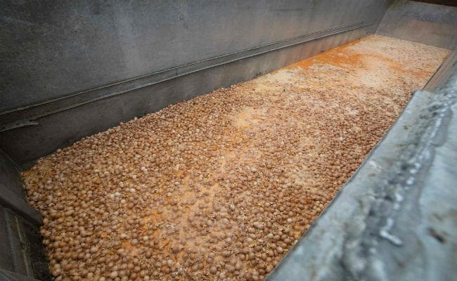 यूरोप से एशियाई बाजारों में पहुंचा फिपरोनिलयुक्त खतरनाक अंडा, स्विट्जरलैंड और हॉन्ग कॉन्ग की गयी सप्लाई