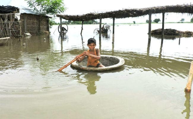 सिमरी-सलखुआ बाइपास रोड पर चढ़ा पानी, मवेशी चारा की हुई किल्लत, देखें वीडियो