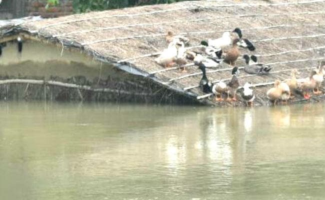 घटने लगा जलस्तर, दिखने लगी तबाही, परेशानी बरकरार, सूखा राशन पैकेट की हो रही एयर ड्रॉपिंग