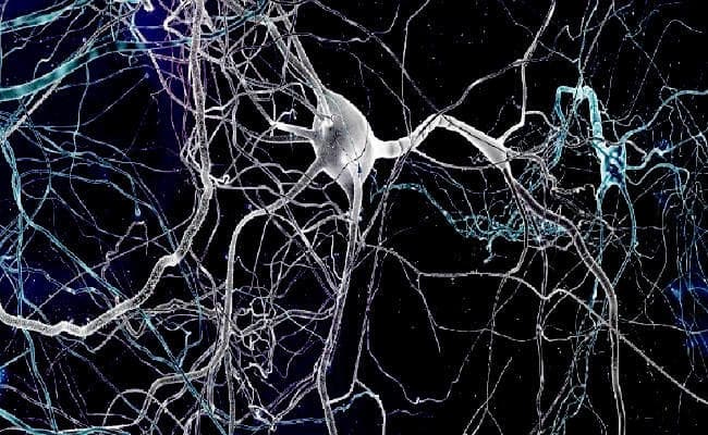 मस्तिष्क में नये प्रकार की कोशिकाओं की पहचान से समय रहते पता चलेगी दिमागी बीमारी!