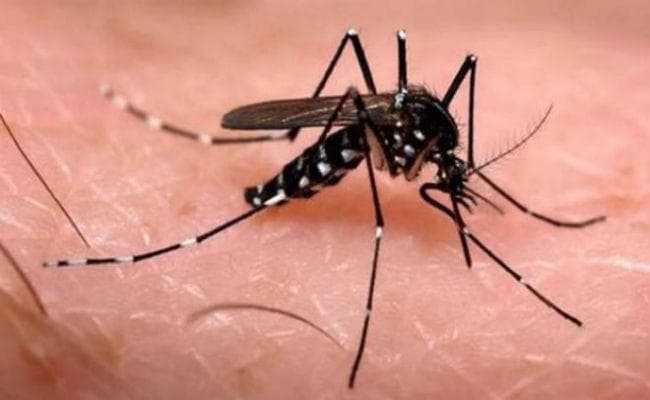 डेंगू की जांच के नाम पर अवैध वसूली करने वाले पैथोलॉजी के कतरे गए ‘पर’, लखनऊ के DM ने तय कर दी जांच की फीस