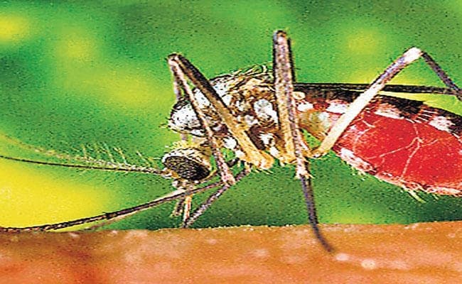 बुखार से पीड़ित की मौत, डेंगू की आशंका