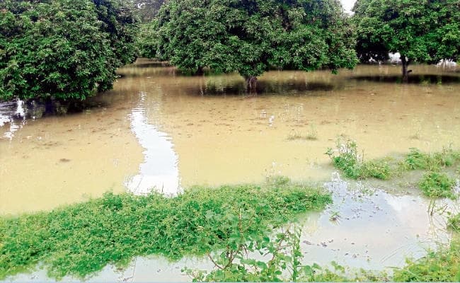 Flood in Bihar : बिना तटबंध टूटे ही यहां बाढ़ मचा रही तबाही, 12 प्रखंडों की 131 पंचायत पानी में डूबे